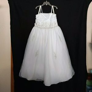 Dressy Girls Little Lady Flower Girl dress